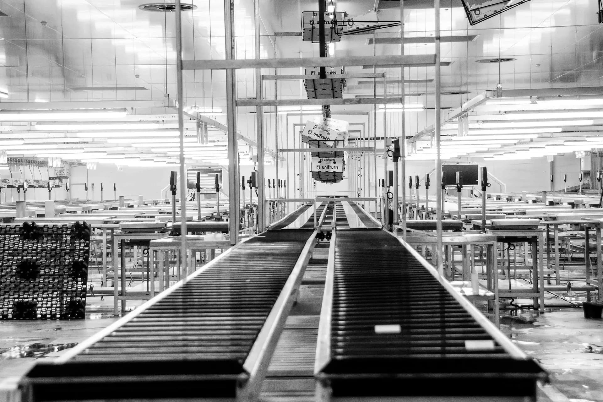 Ligne de production avec convoyeurs